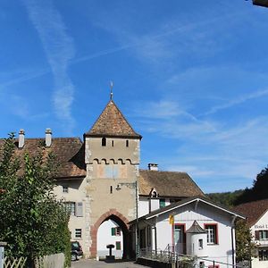 شقة Wandern Und Wohnen Bei Gabriela Waldenburg Exterior photo