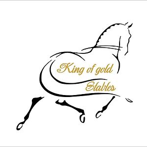 زوتيندال King Of Gold Stables Appartement Met Stalling Voor 5 Paarden Exterior photo