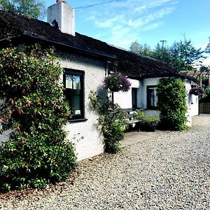 فيلا The Wicklow Escape (Adults Only) Donard Exterior photo