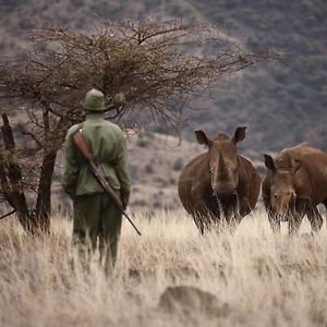 فندق Elewana Lewa Safari Camp Meru Exterior photo