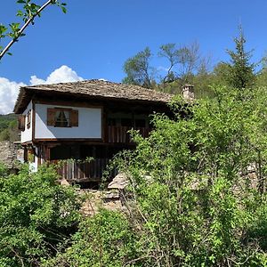 فيلا Kovačevicaفي Q.Pova House Exterior photo