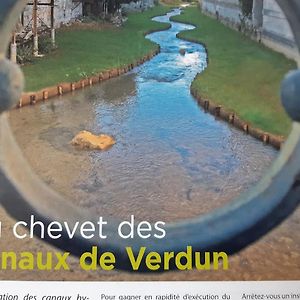 شقة Au Chevet Des Canaux De Verdun فردان سور ميوز Exterior photo