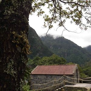 Nature Inn Madeira - Glamping بورتو مونيز Exterior photo