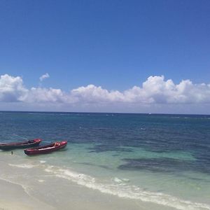 مبيت وإفطار Port Antonio Brian'S Beach House Exterior photo