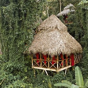 Dominican Tree House Village El Valle Exterior photo