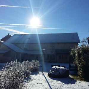 فيلا Le Chant Du Coq Bief-des-Maisons Exterior photo