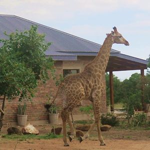 مبابان Mkhiweni Villa At Dombeya Wildlife Estate Exterior photo