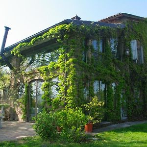 فيلا La Casa Sopra Le Nuvole Medesano Exterior photo