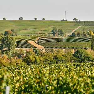 فندق Weingasthaus Wisser Billigheim-Ingenheim Exterior photo