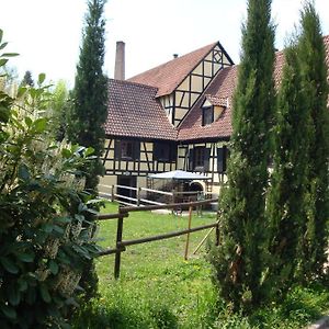 فيلا Maison De Vacances Alsace - Ferienhaus Elsass - Holiday House Alsace Bischwiller Exterior photo