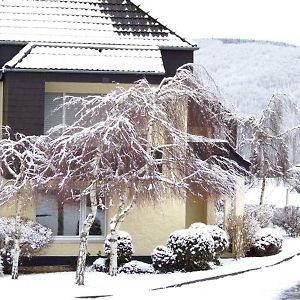 فندق Gemuender Ferienwohnpark Salzberg Exterior photo