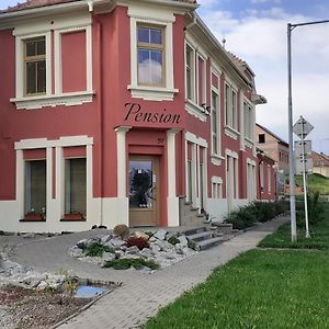 فندق Pension U Palenice Hrabětice Exterior photo